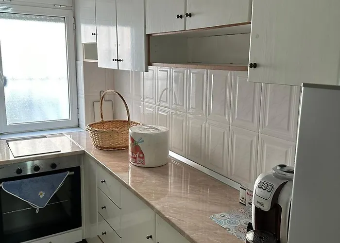 Just Renovated In The Center Tirana