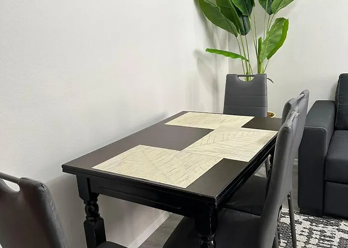 Just Renovated In The Center Tirana